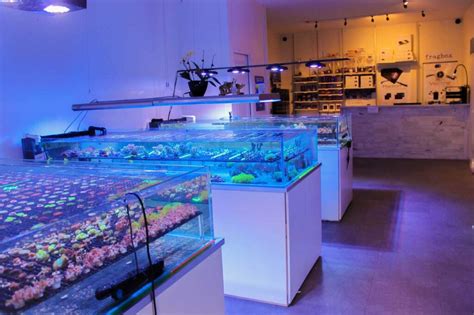 fish shop in|The Fish Tank .